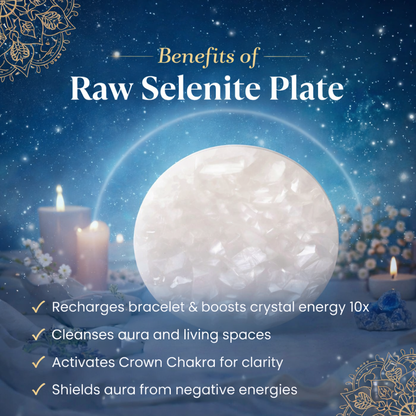 Pyrite Tortoise on Raw Selenite Plate Decor