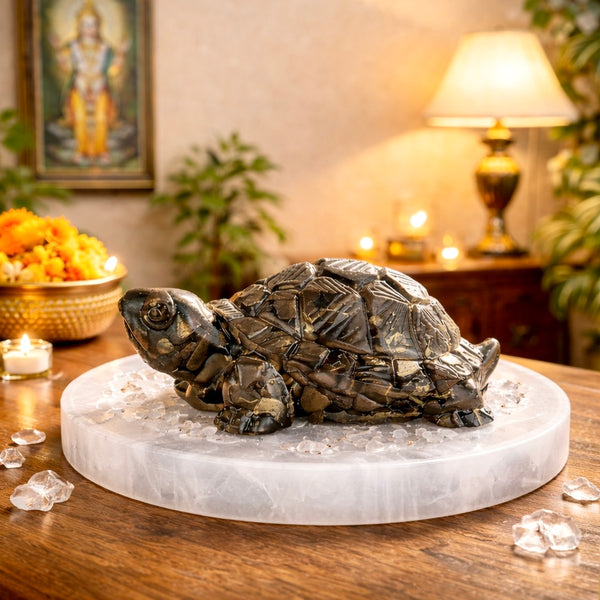 Pyrite Tortoise on Raw Selenite Plate Decor