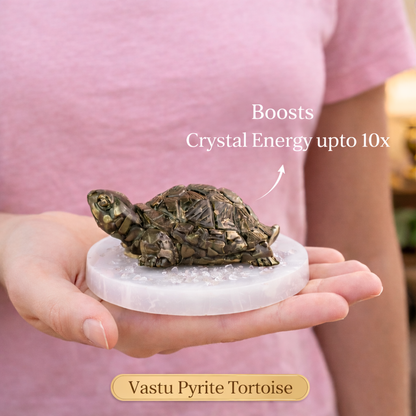 Pyrite Tortoise on Raw Selenite Plate Decor