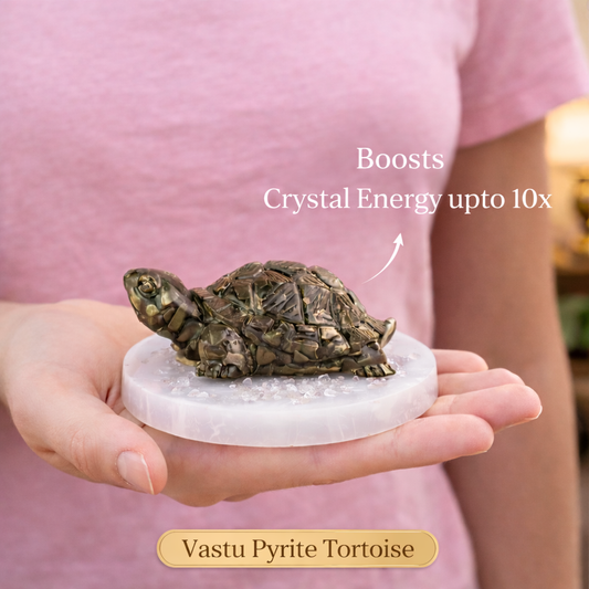 Pyrite Tortoise on Raw Selenite Plate Decor