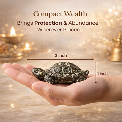 Pyrite Tortoise on Raw Selenite Plate Decor